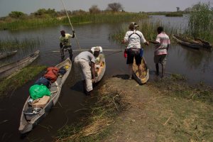 Camping By Mokoro Canoe Okavango Delta Botswana